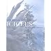 Icicles: The Icicle Creek Chandelier