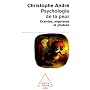 Psychologie de la peur : Craintes, angoisses et phobies