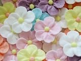 Assorted Sugar 5 Petal Flowers(24pcs)