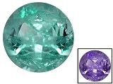 MIN .20CT MM VARIES ROUND ALEXANDRITE