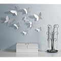 Mariposa Wanddeko Wanddekoration Wandbild Schmetterling Butterfly Umbra
