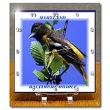 Maryland State Bird Baltimore Oriole - 6x6 Desk Clock