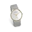 Skagen Men's Two-Tone...