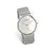 Skagen Men's Two-Tone Mesh Band Watch #355LGSC