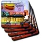 Coney Island - Coney Island Nathans Hot Dog - Coasters