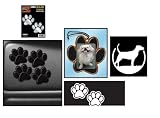 Labrador Retriever Package
