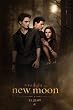 Love Triangle - The Twilight Saga: New Moon Movie Poster