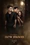 Love Triangle - The Twilight Saga: New Moon Movie Poster