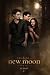 Love Triangle - The Twilight Saga: New Moon Movie Poster