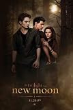 Love Triangle - The Twilight Saga: New Moon Movie Poster