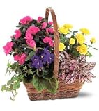 Blooming Garden Basket - B0012BFEXY