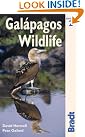 Galapagos Wildlife: A...