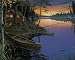 Canoe at the Cabin Art Poster Print