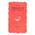 大型店とまちづくり―規制進むアメリカ,模索する日本 (岩波新書 新赤版 (960))