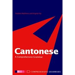 Cantonese: A Comprehensive Grammar (Routledge Grammars)
