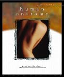 Human Anatomy