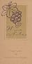 Wine Notes Pocket Guide and Personal Tasting Journal