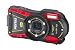WG-10 - red