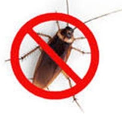 3PCS JOY JOY Trap-A-Roach COCKROACHES GLUE TRAP NON-TOXIC SAFE STICKY GLUE