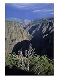 The Canyon Just Before Getting Hit by a Summer Rain Storm, Black Canyon of the Gunnison, Colorado Photographic Poster Print by Taylor S. Kennedy, 18x24