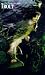 Trout: The Complete Guide to Catching Trout with Flies, Artificial Lures and Live Bait (The Freshwater Angler)