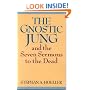 The Gnostic Jung and the Seven Sermons to the Dead (Quest Books)