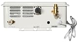Eccotemp Systems 40HI-LP