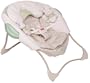 Fisher-Price Baby Papasan