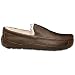 Men's Ascot UGG Slippers