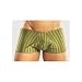 1st Fantasies Male Power Stretch Olive Shadow Stripe Bong Pouch Front Mini Short