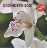 Produkt-Bild: Orchideen, Brosch&uuml;renkalender 2013