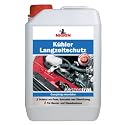NIGRIN 73944 K&uuml;hlerlangzeitschutz Konzentrat, 3 Liter