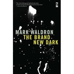The Brand New Dark (Salt Modern Poets)