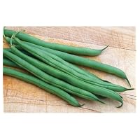 David's Organic Green Bush Bean Fresh Pick 90 Seeds per Packet