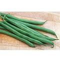 David's Organic Green Bush Bean Fresh Pick 90 Seeds per Packet