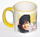 ����ҥ�󥸥�󡡥ޥ����åס�SS501 ���ࡦ�ҥ�󥸥��02
