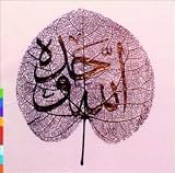 Ya Habib