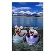 Hire Boats Sit On Shore Of Karakul Lake On Route To Kashgar, Kara Kul, Xinjiang, China, Photographic Print by Grant Dixon, 30x40