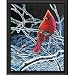 Winter Ice Cardinal to Color or Paint