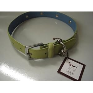 Coach Charm Dog Collar Large Green