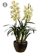 34" Potted Artificial Green Cymbidium Orchid Plant