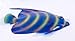 Handpainted Glitter Cartoon Tropical Fish Wall Mount Decor Plaque 12