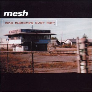 Mesh - What Does It Cost You Lyrics - Zortam Music