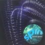 Spin