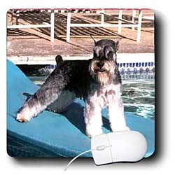 image link - - B000EGN2WS