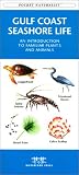 Gulf Coast Seashore Life: An Introduction to Familiar Plants and Animals (Pocket Naturalist)
