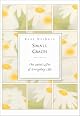Small Graces: The Quiet Gifts of Everyday Life