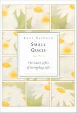 Small Graces: The Quiet Gifts of Everyday Life