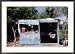 Jerk Chicken Stand, Negril, Jamaica Collections Framed Photographic Poster Print by Debra Cohn-Orbach, 36x26