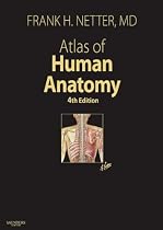 Atlas of Human Anatomy, Professional Edition (Netter Clinical Science)